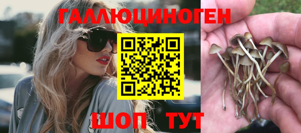 Галлюциногенные грибы Psilocybine cubensis  Вход с VPN  Ишим  Галлюциногенные грибы Psilocybine cubensis 