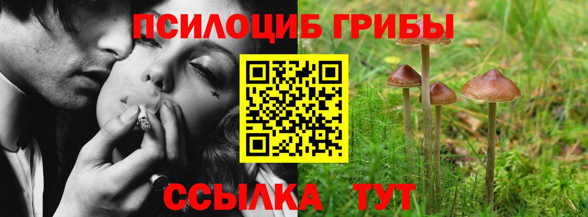 Галлюциногенные грибы GOLDEN TEACHER Ишим